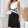 Womens Sleeveless Mini Dress Summer Black White Color Block Crewneck Casual Loose Tank Dresses White Pretty Picks